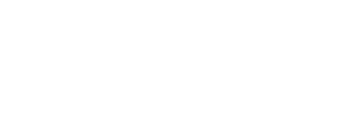 The Website Builder