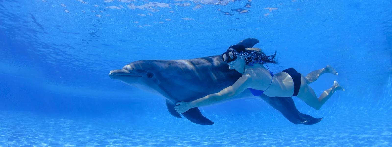 Cabo Dolphins