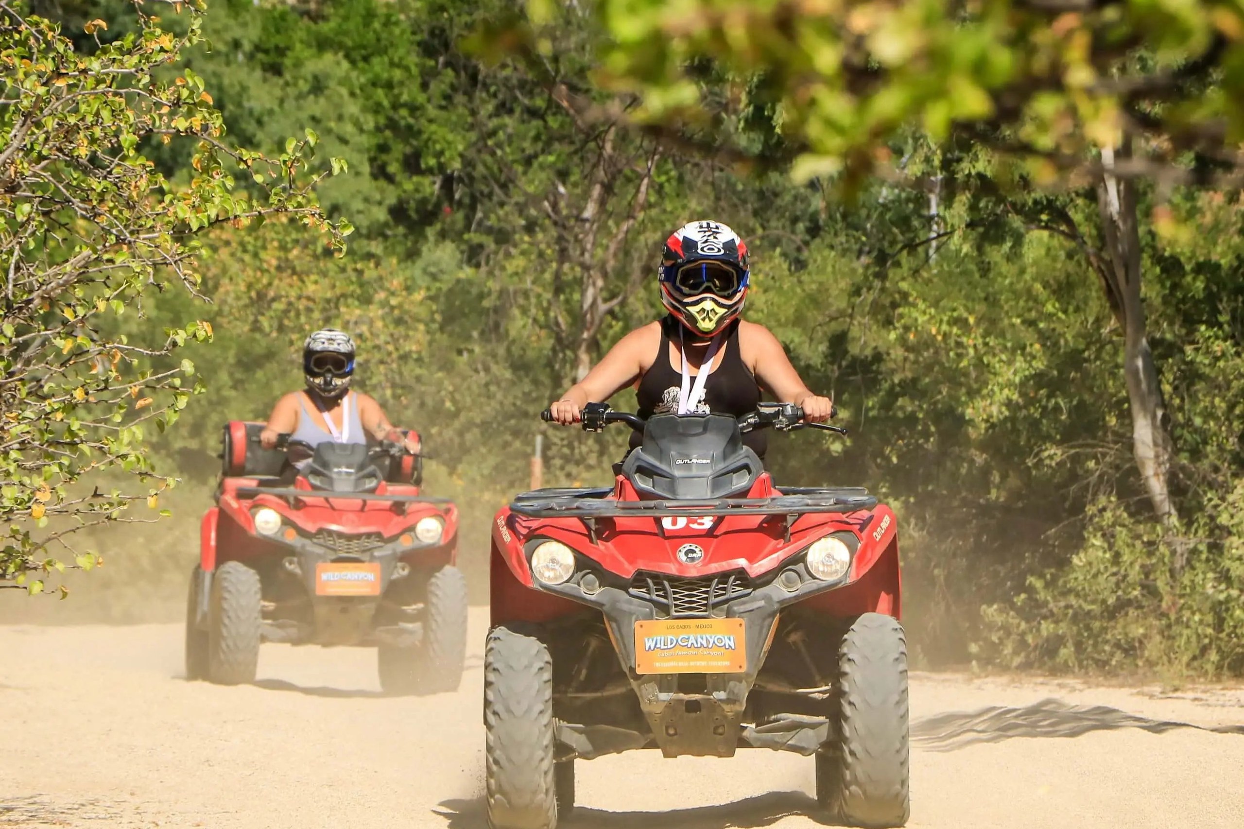 Wild Canyon Adventures