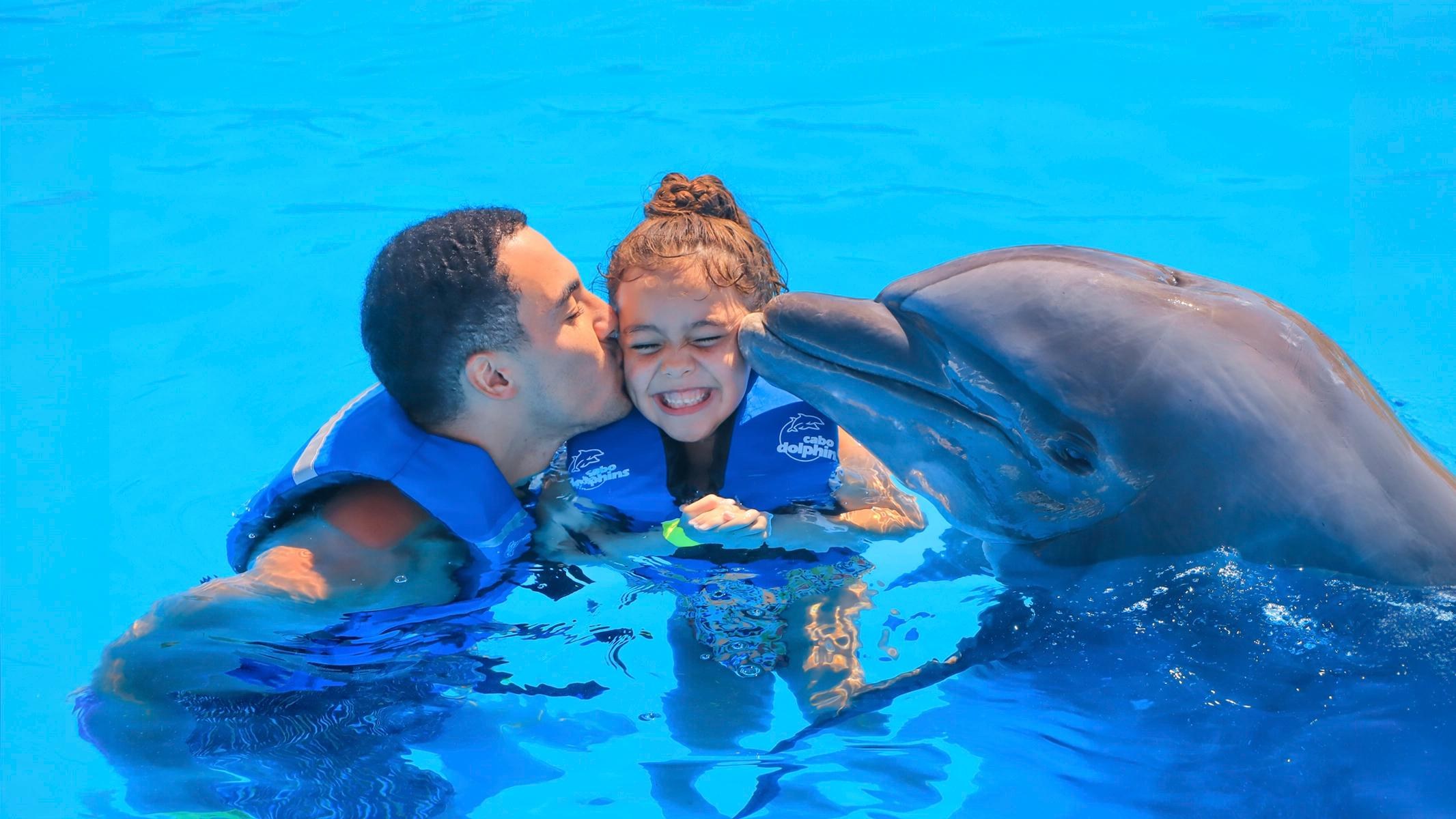 Cabo Adventures dolphin experience