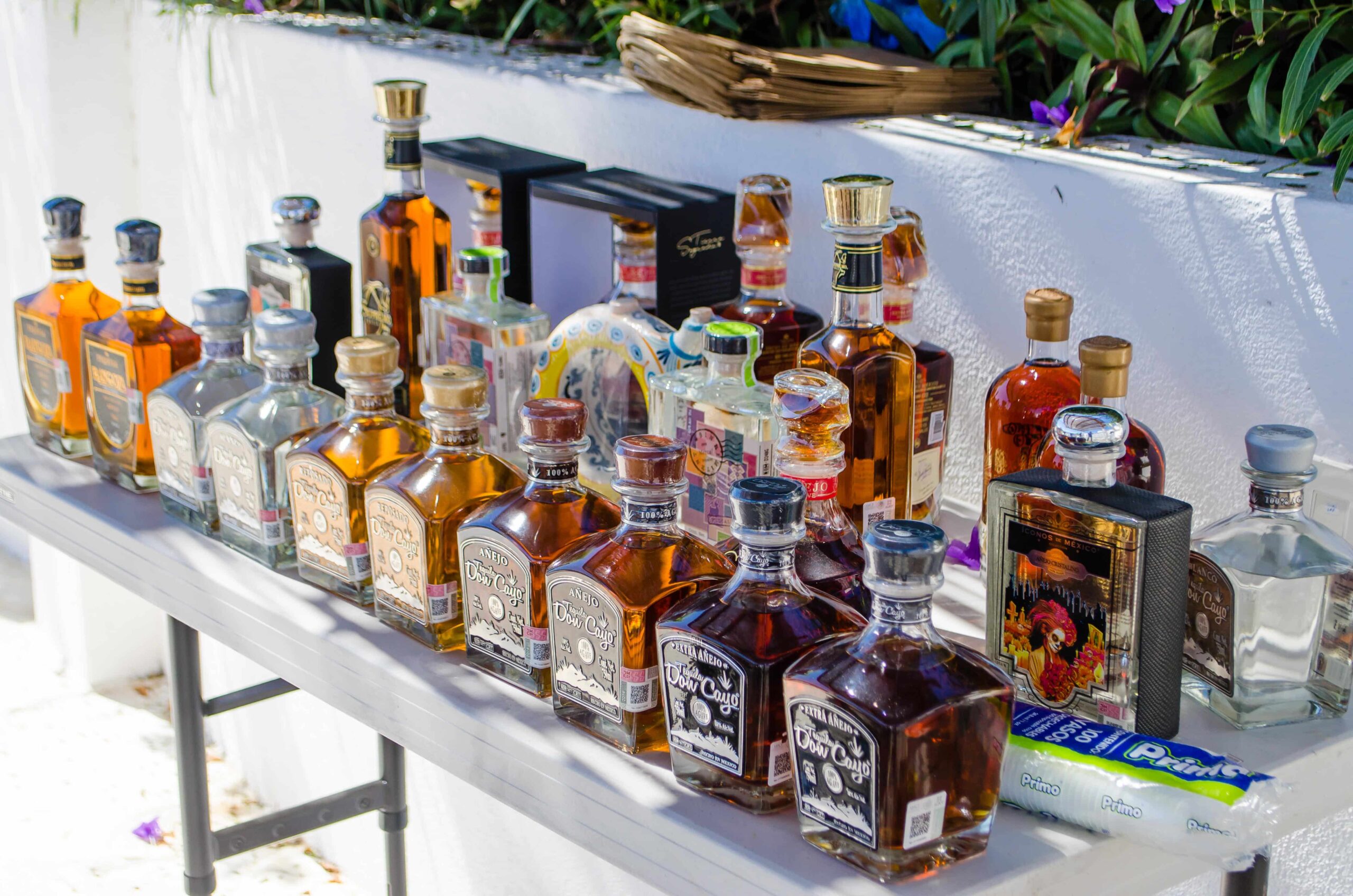 In home tequila tasting